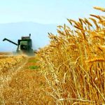پیام مشترک روسای اتحادیه‌های صنفی زنجیره تأمین و عرضه مواد غذایی استان قم به مناسبت روز جهانی غذا