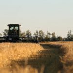 برخورد جدی با تغییر کاربری‌های غیر مجاز در اراضی کشاورزی قم