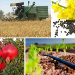 بررسی ۲۱ طرح صنعتی و کشاورزی در ستاد تسهیل استان قم