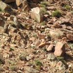 سرشماری منطقه حفاظت شده پلنگ‌دره قم برای نخستین بار با استفاده از پهپاد انجام شد