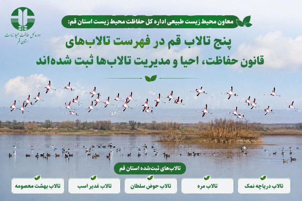 پنج تالاب قم در فهرست تالاب‌های قانون حفاظت، احیا و مدیریت تالاب‌ها ثبت شده‌اند
