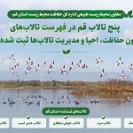 پنج تالاب قم در فهرست تالاب‌های قانون حفاظت، احیا و مدیریت تالاب‌ها ثبت شده‌اند