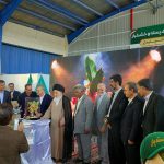 رقم جدید پسته قم با نام «حسینی» رونمایی شد